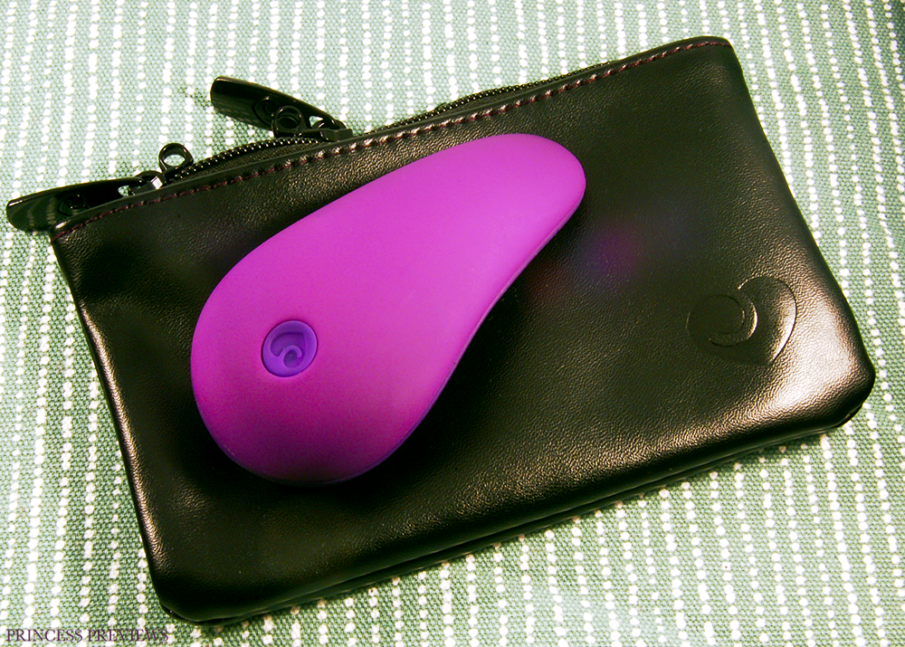 Lovehoney Desire App-Controlled Knicker Vibrator with Case