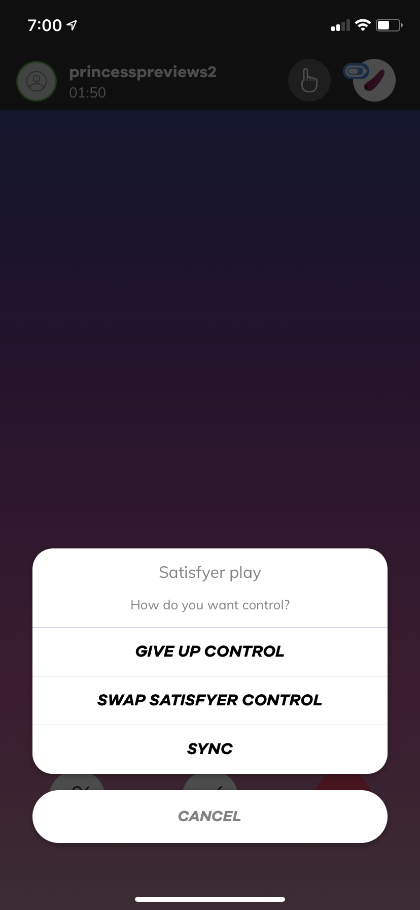 Satisfyer Connect Partner Control Choices